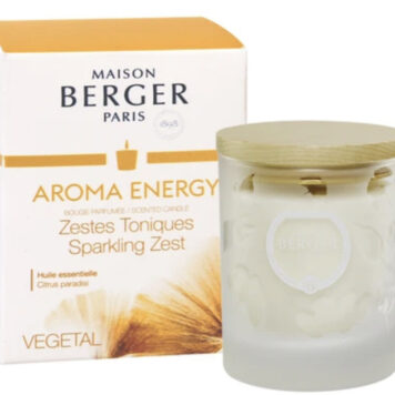 MAISON BERGER Recharges Diffuseur Voiture Aroma Energy