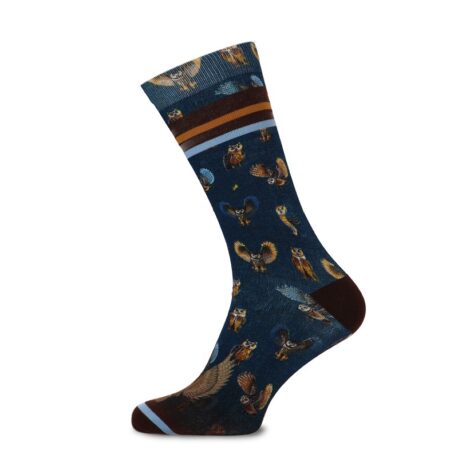 XPOOOS & AFNF Owls bamboo men's sock